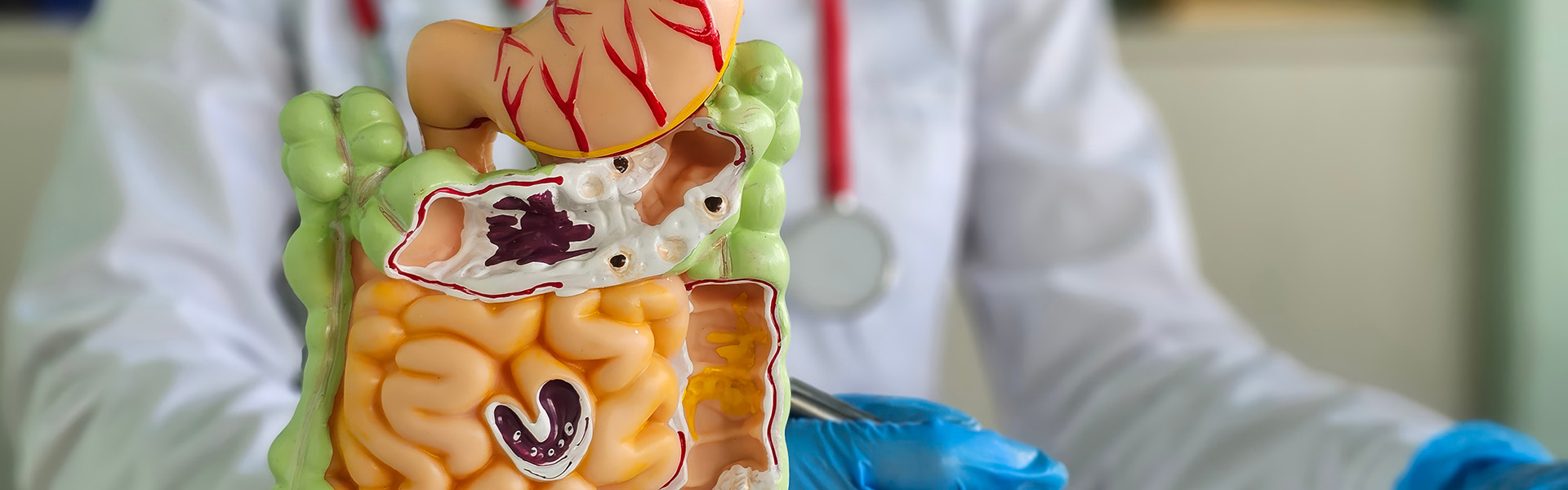Gastroenterologie.jpg