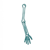 Arm.jpg