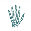 Hand.jpg