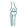 Knie.jpg