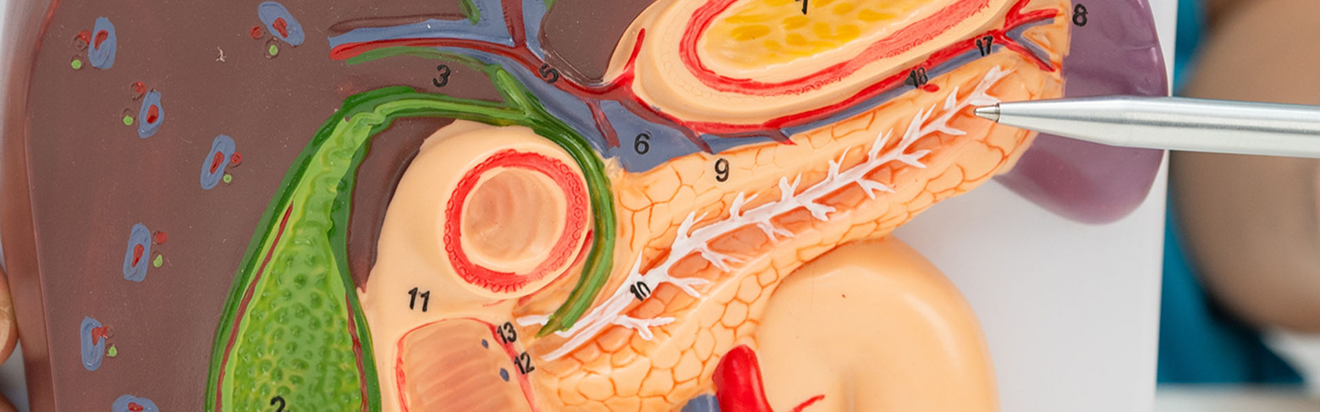 Pankreaschirurgie.jpg