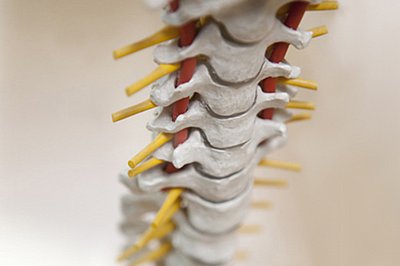 Wirbel_Gesundheitssport.jpg
