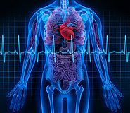 Fortbildung: Diabetologie – Kardiologie – Pneumologie