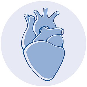 Patienteninformationsveranstaltung: Herz aus dem Takt – Vorhofflimmern erkennen und handeln